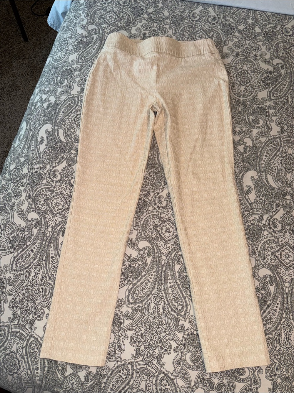 Attyre Beige Textured Slim Fit Pants with Elastic Waistband